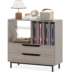 COSTWAY Opbevaringsstand til Vinylplader med 2 Skuffer, 5 Rum, 4 Hylder, til Stuen, Musikrum Grå