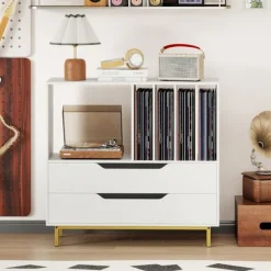 COSTWAY Vinyl Plade Opbevaring Med 2 Skuffer, 5 Rum, 4 Hylder, Til Stue, Musik Værelse Hvid