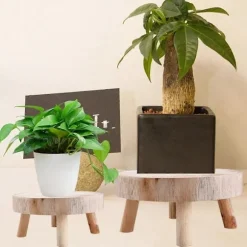 Mini Træskammel Display Plantestativ Dekorativt Træ Plantestativ Bonsaiholder til Indendørs Udendørs Hjem Have C