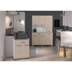 OSLO 60 cm vogn - 1 skuffe og 1 låge - L 60 x D 44 x H 81 cm - Eg farve Mast