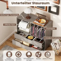 Pladespillerstativ med 4 vinylpladser og 2 skuffer, grå
