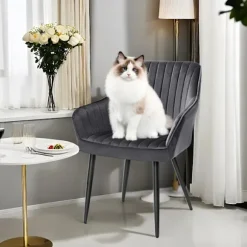 Rootz Elegant spisestol - lænestol - fløjlsæde - komfortpolstring - 62,5 cm x 60 cm x 85 cm - Understøtter op til 110 kg