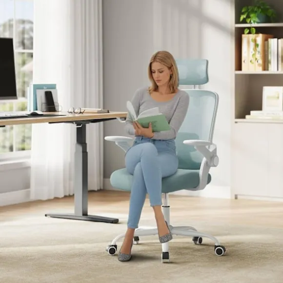 Rootz Ergonomic Office Chair - Lumbar Support - Justerbar skrivebordsformand - Åndbar net - 63,5 x 109,5-117,5 x 50 cm