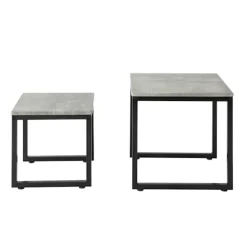 SoBuy lysegrå sæt med 2 sofaborde 50x50x50cm, industriel FBT42-HG