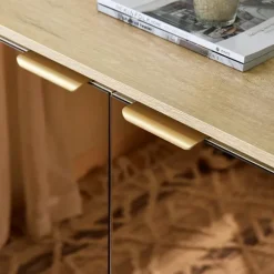 SoBuy Skab til sko med 2 døre i guld 83x38x100cm, moderne FSB96-G