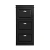 SoBuy sort skoskab med 3 døre 24x53.01x116.99cm, moderne FSR94-SCH